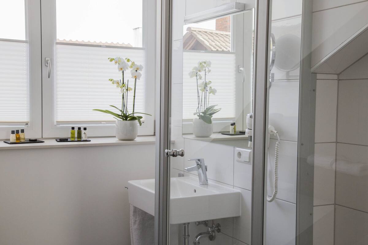 shower, free toiletries, hair dryer, towels