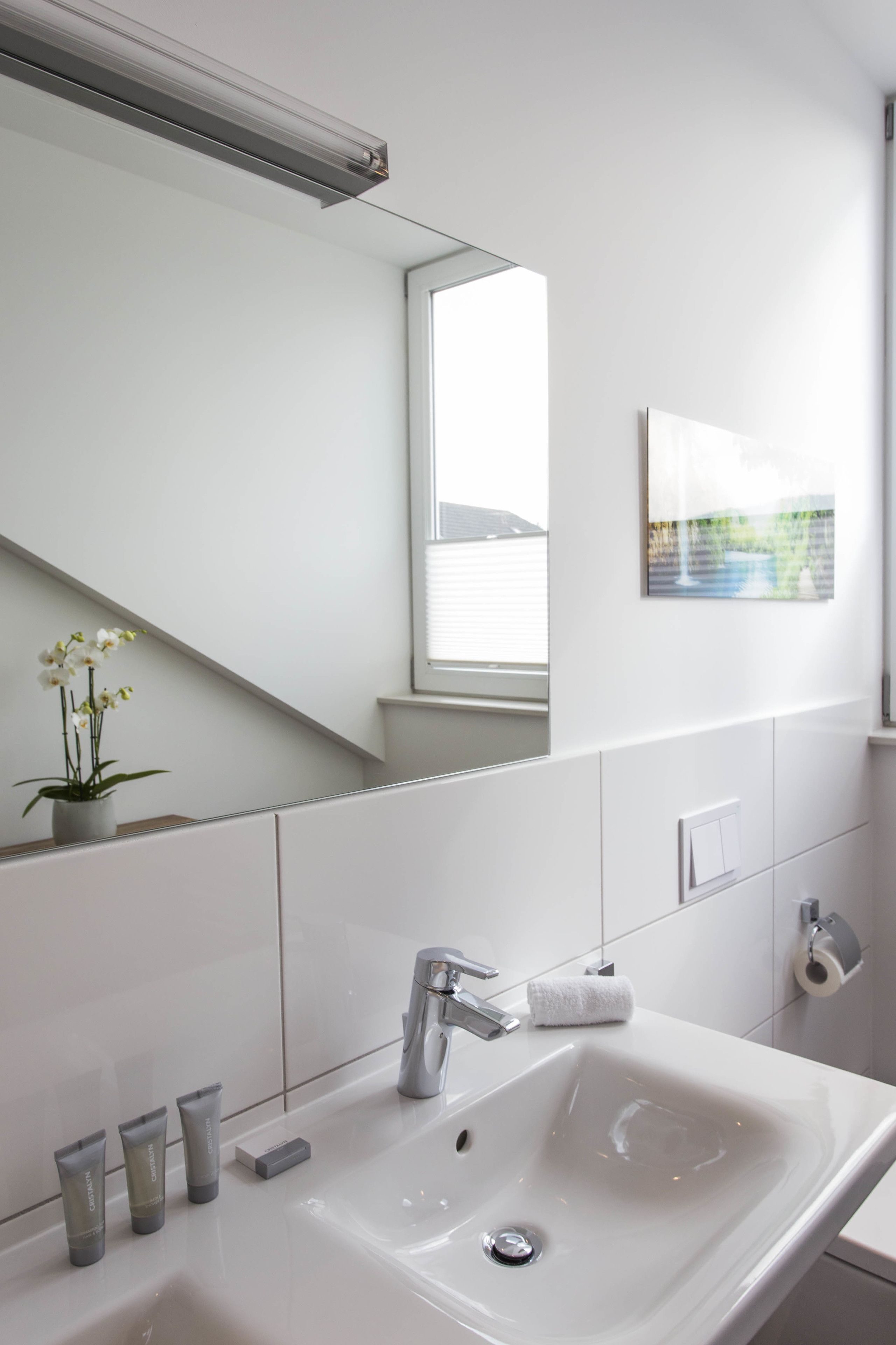 A modern bathroom with a white sink, mirror, and potted orchid.