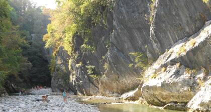 Apartment Zonir with sauna