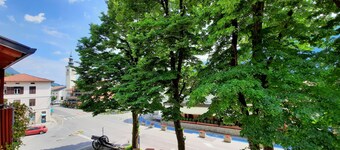 Apartment Honey Bee with Sauna