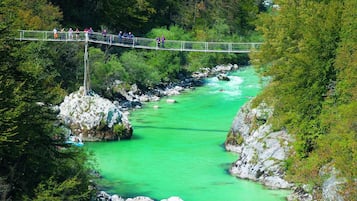A suspension bridge over a river with clear green water, surrounded by dense forest.