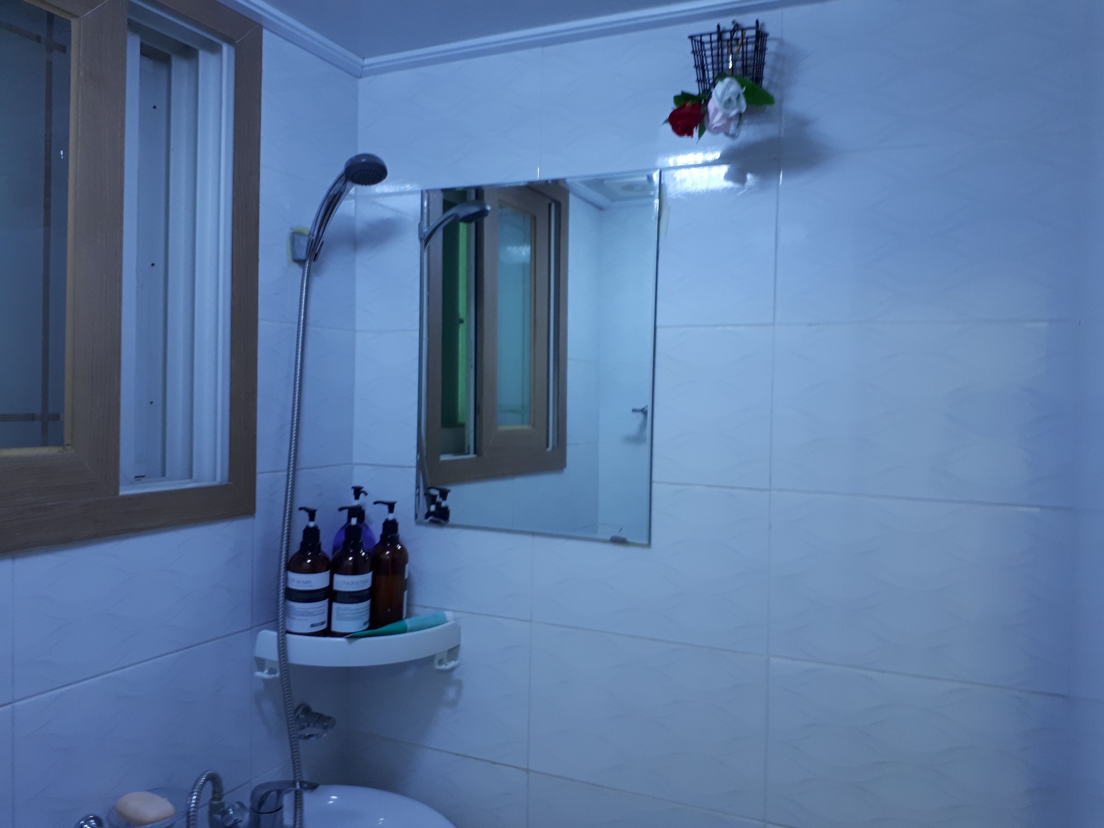 Shower, free toiletries, hair dryer, slippers
