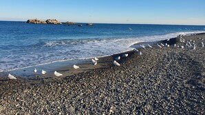Una playa de guijarros con gaviotas y un promontorio rocoso a lo lejos.