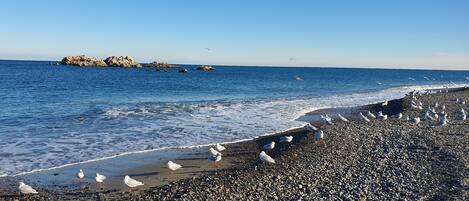 Beach/ocean view