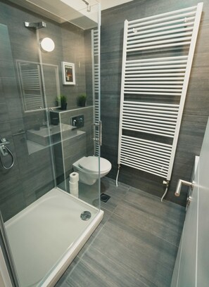 Douche, articles de toilette (gratuits), séchoir à cheveux
