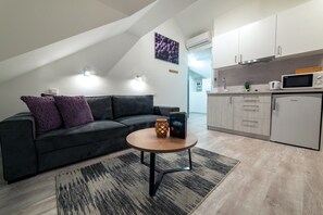 华丽公寓 (Istra) | 起居区 | 平板电视