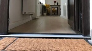 Een smalle gang met een deurmat bij de ingang, een radiator aan de muur, en een klein tafeltje met een vaas en een plant in de verte.