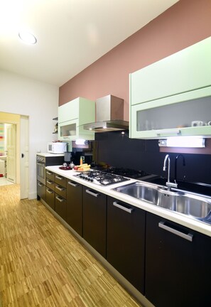 Apartment, 1 Queen-Bett und Schlafsofa | Eigene Küche | Großer Kühlschrank, Mikrowelle, Ofen, Herdplatte