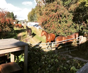 Un establo con caballos y una valla de madera.