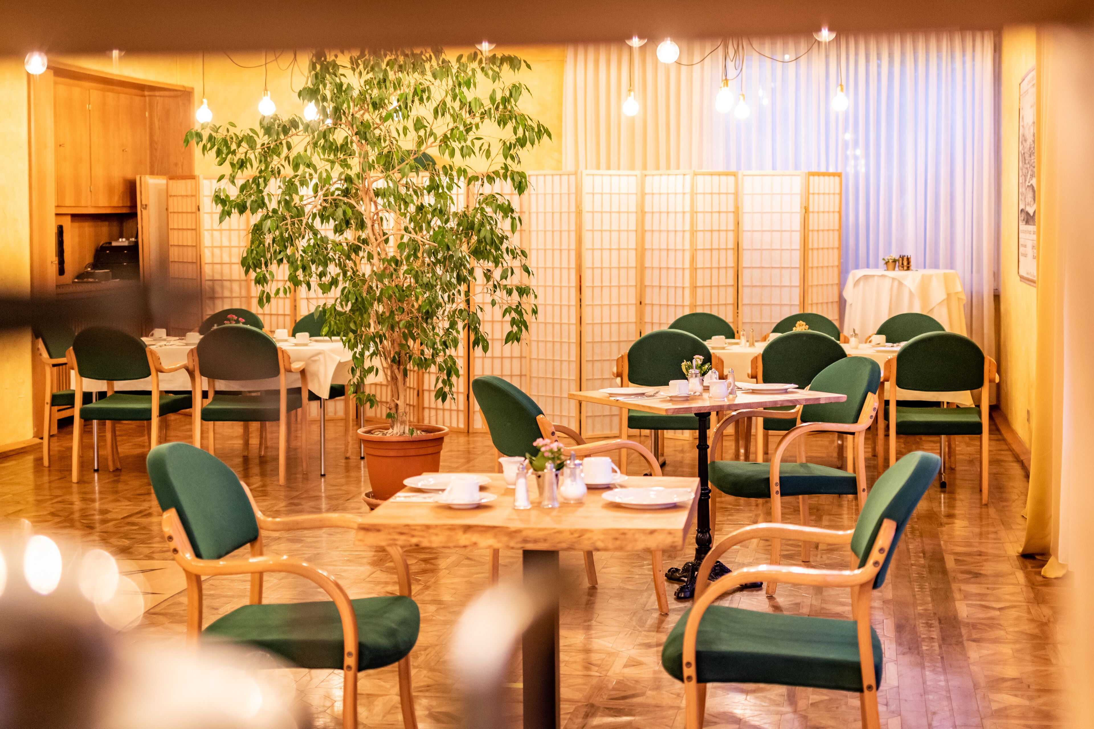 A restaurant with wooden tables and green chairs, a large potted plant, and a traditional Japanese sliding door in the background.