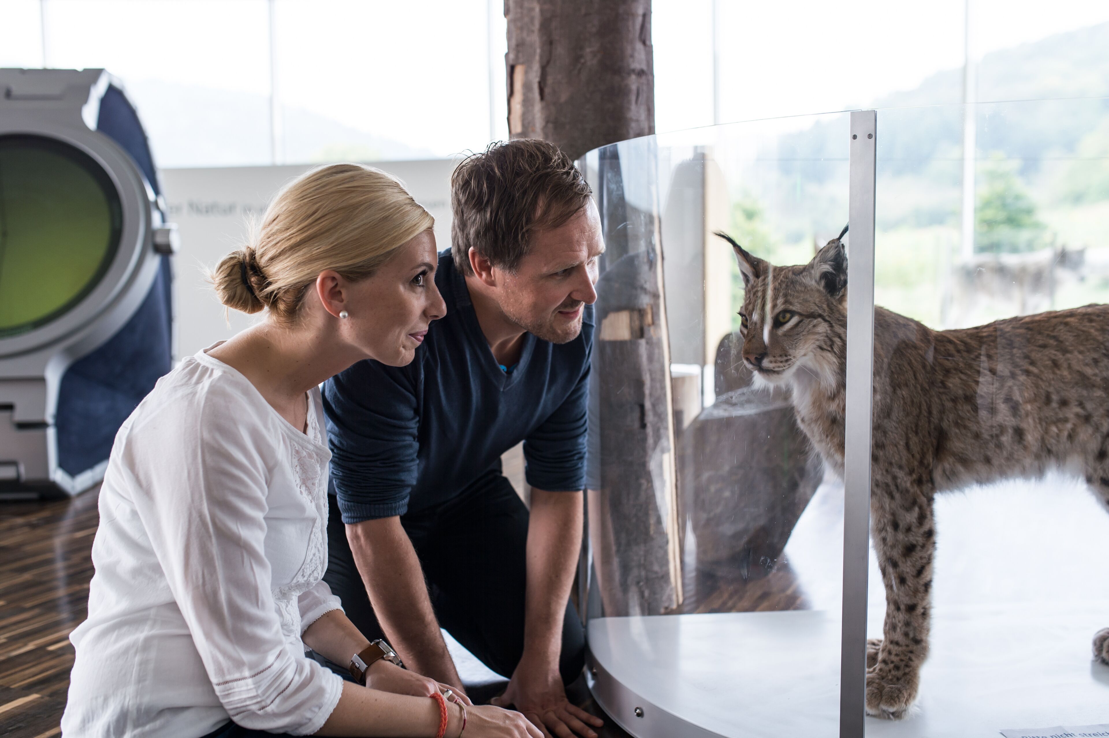 Una pareja observando un lince a través de un recinto de vidrio.