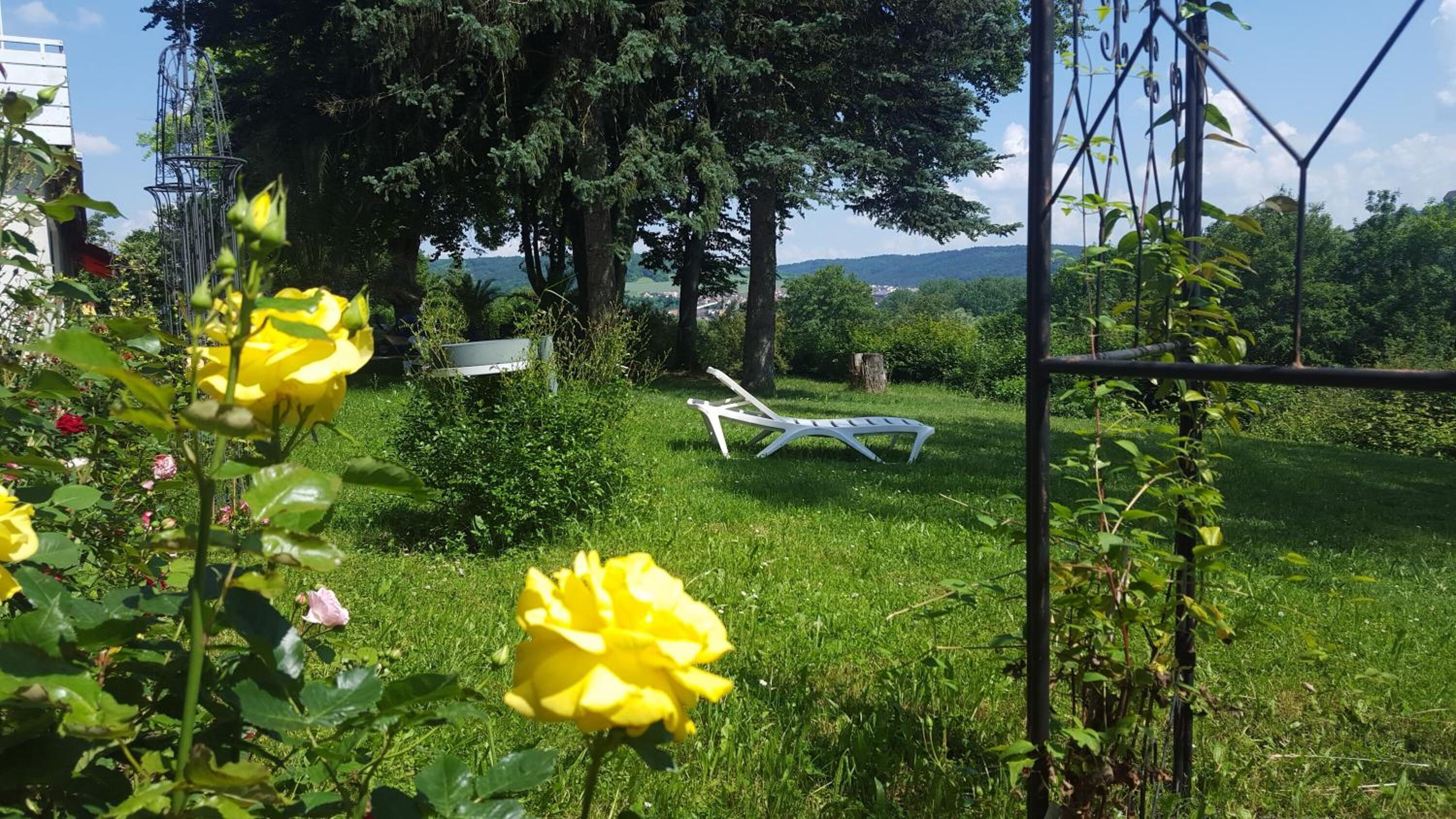 A garden with yellow roses, a white chair, and a metal trellis.