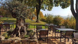 Une terrasse extérieure avec des tables et des chaises, entourée de murs en pierre et d’arbres.