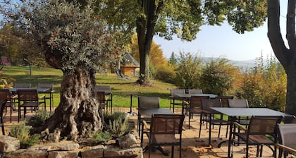 Vitalhotel König am Park
