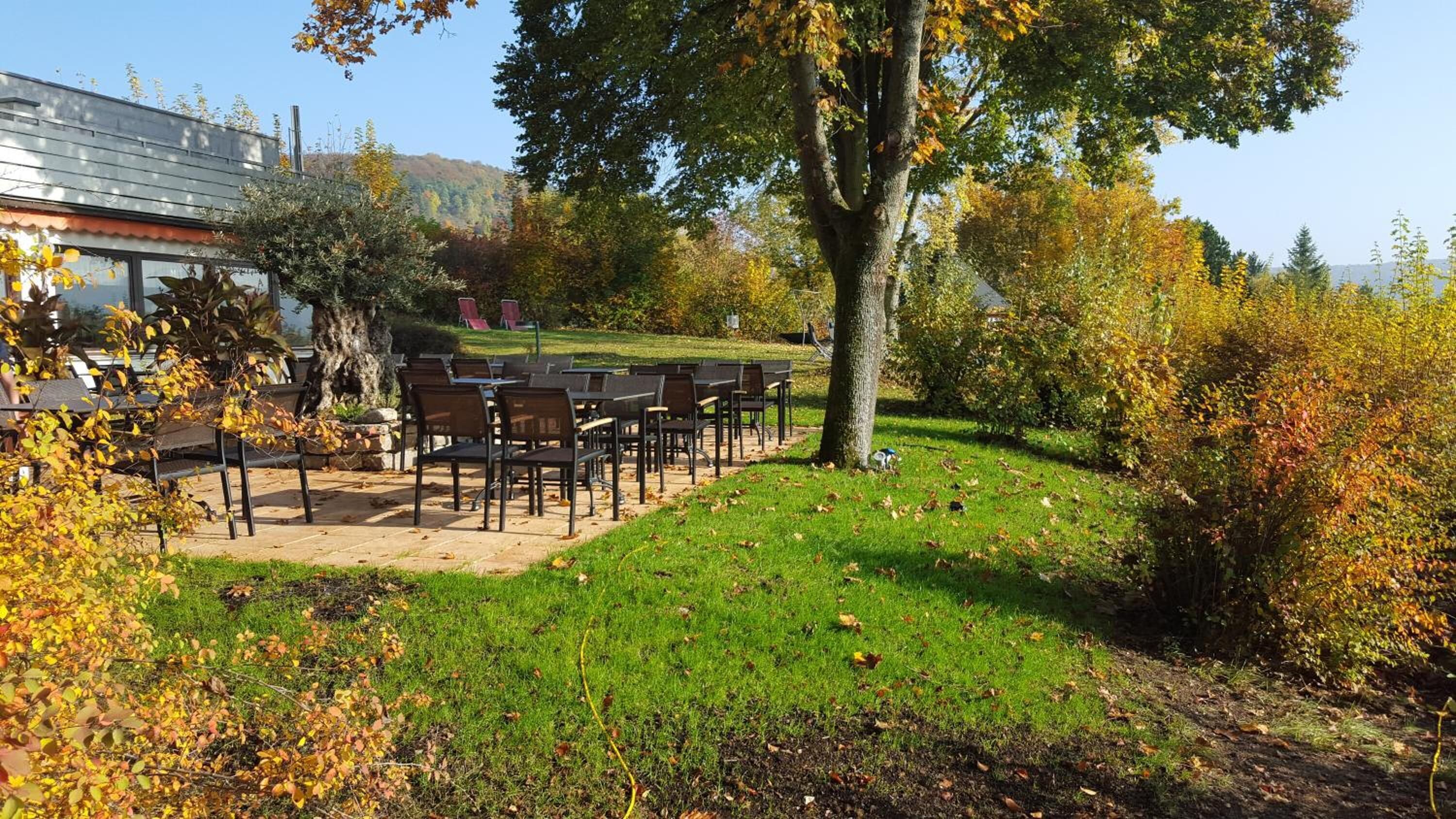An outdoor seating area with chairs arranged on a paved surface, surrounded by trees and grass.