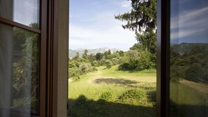 Une vue à travers une fenêtre sur un paysage verdoyant, avec des arbres et des montagnes à l’horizon.