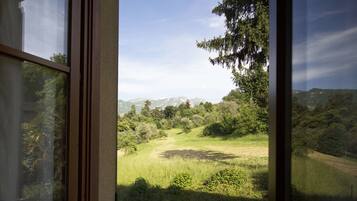 Apartamento, 1 habitación | Vistas desde la habitación