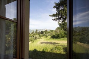 Apartment, 1 Schlafzimmer | Ausblick vom Zimmer