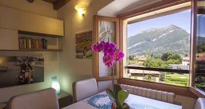 Appartamenti Villa Giulia