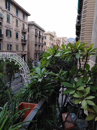 Vista desde la propiedad