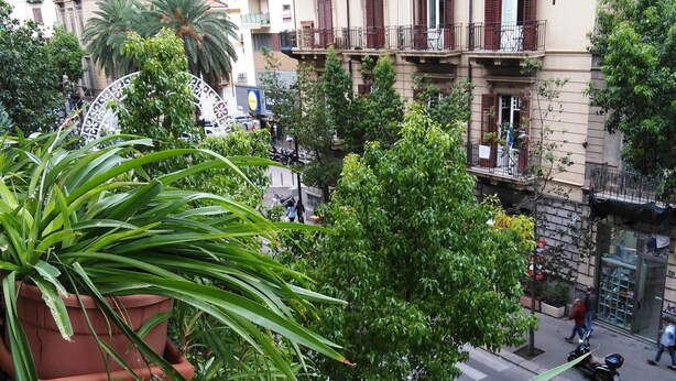 Une vue de rue avec des immeubles, un arbre et une moto garée.