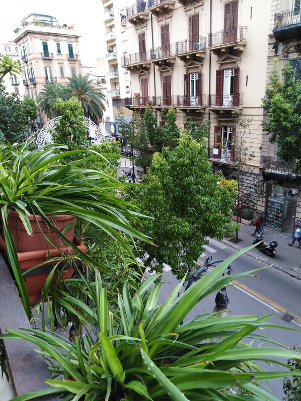 Vue depuis l’hébergement