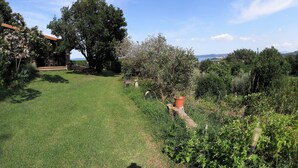 Un jardín exuberante con un patio, un gran árbol y vista al mar.