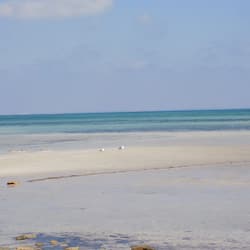 On the beach