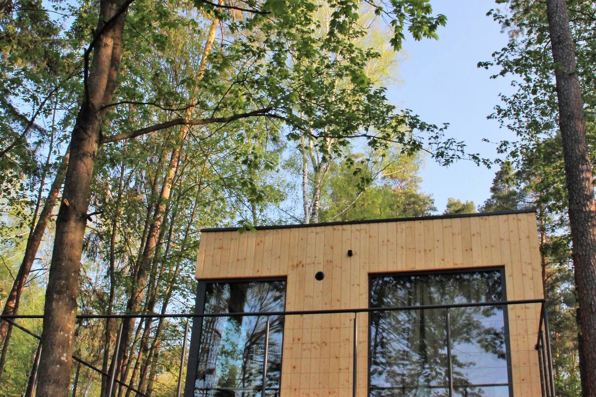 Una cabaña de madera moderna rodeada de árboles altos.