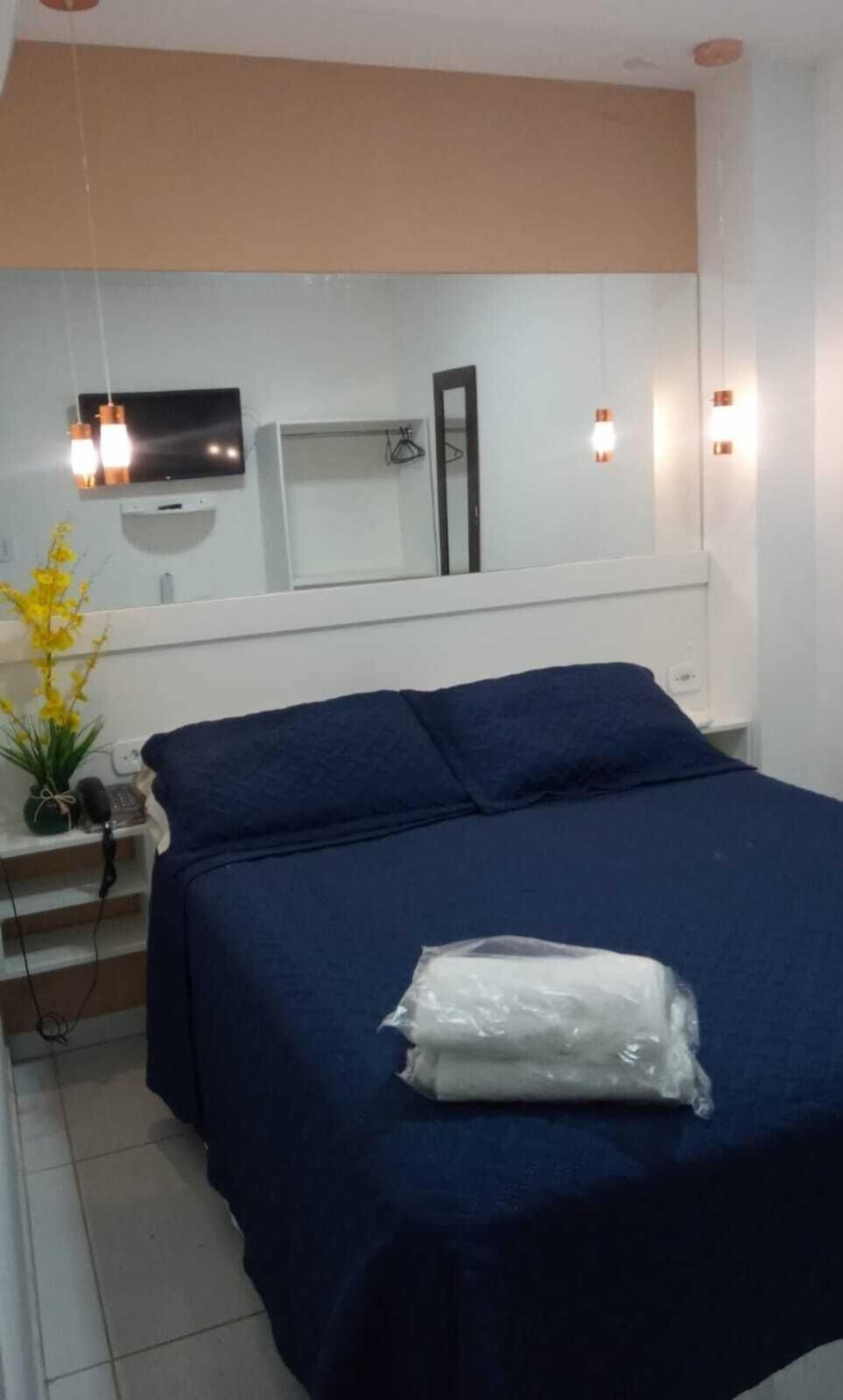 Un dormitorio con cama, televisor, espejo y planta.