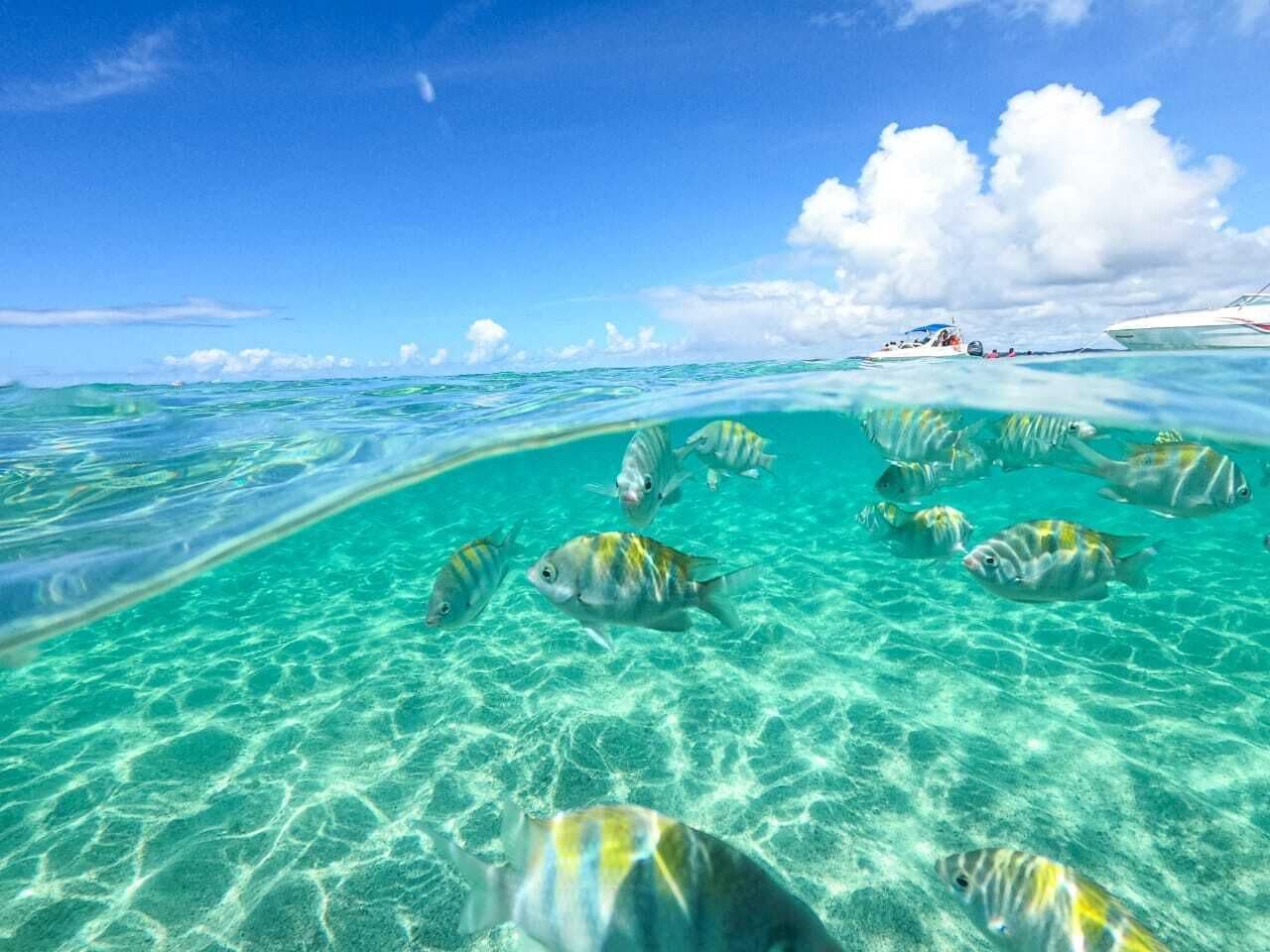 Foto - Pousada dos Cabanos