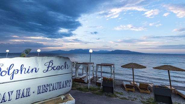 A beachside restaurant with a sign reading "Dolphin Beach DAY BAR - RESTAURANT". There are wooden lounge chairs and thatched umbrellas.