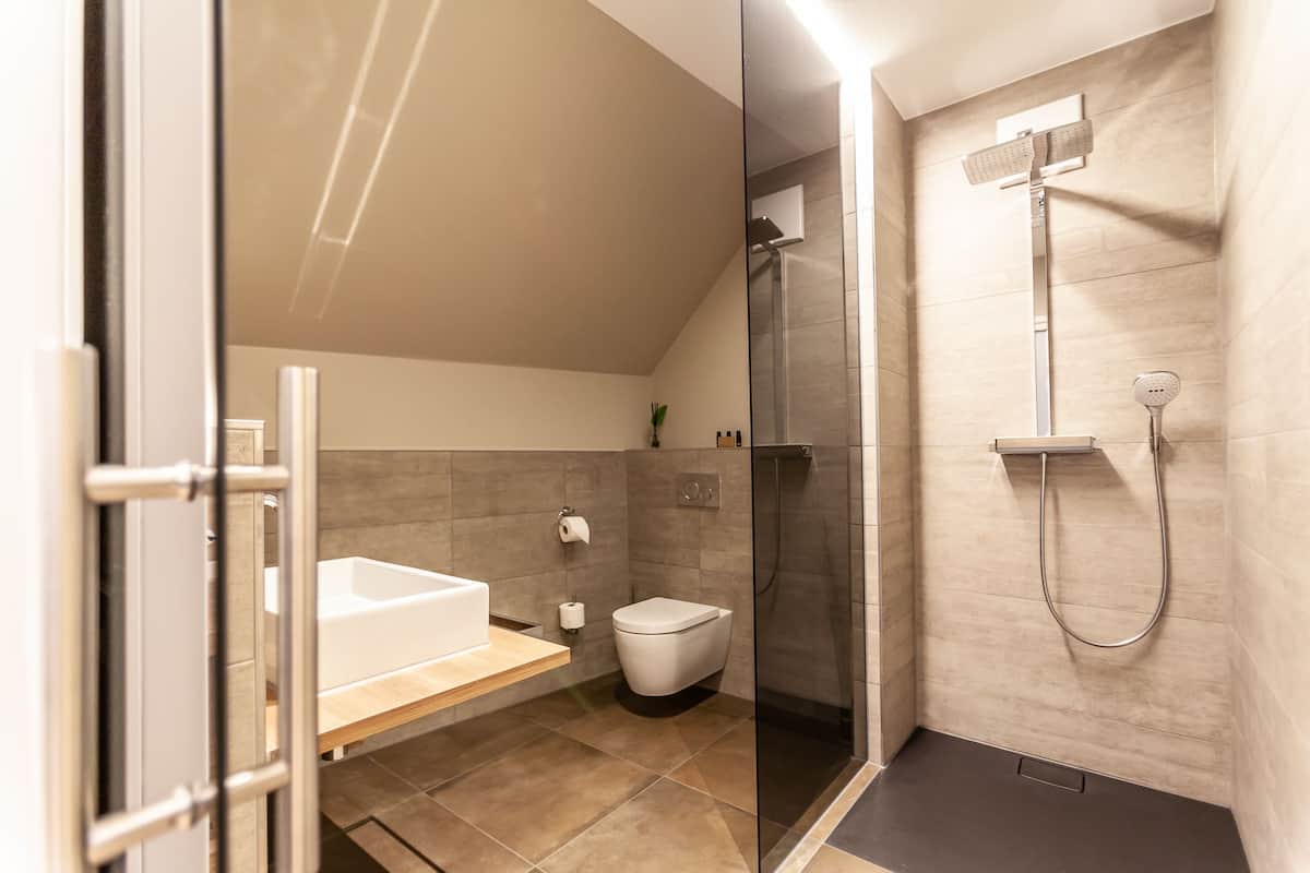 shower, free toiletries, hair dryer, towels