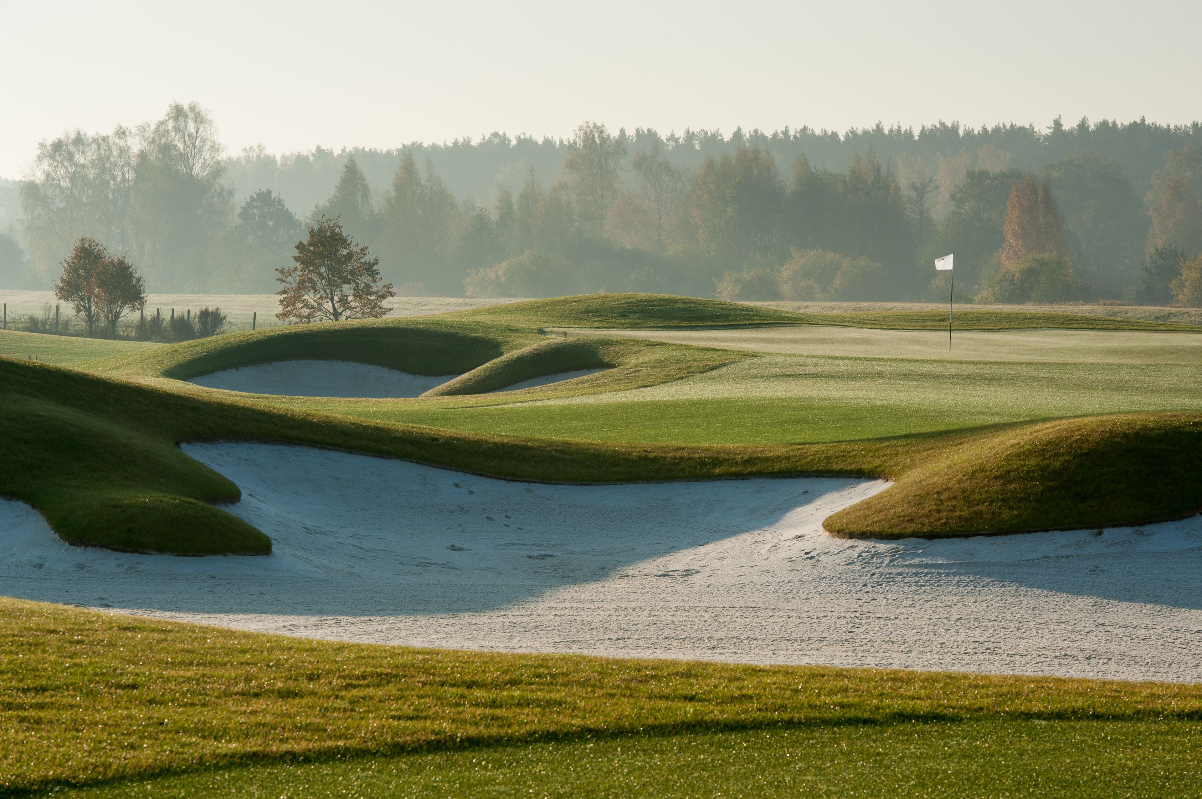 Campo de golf con búnkeres de arena, una bandera y un bosque al fondo.