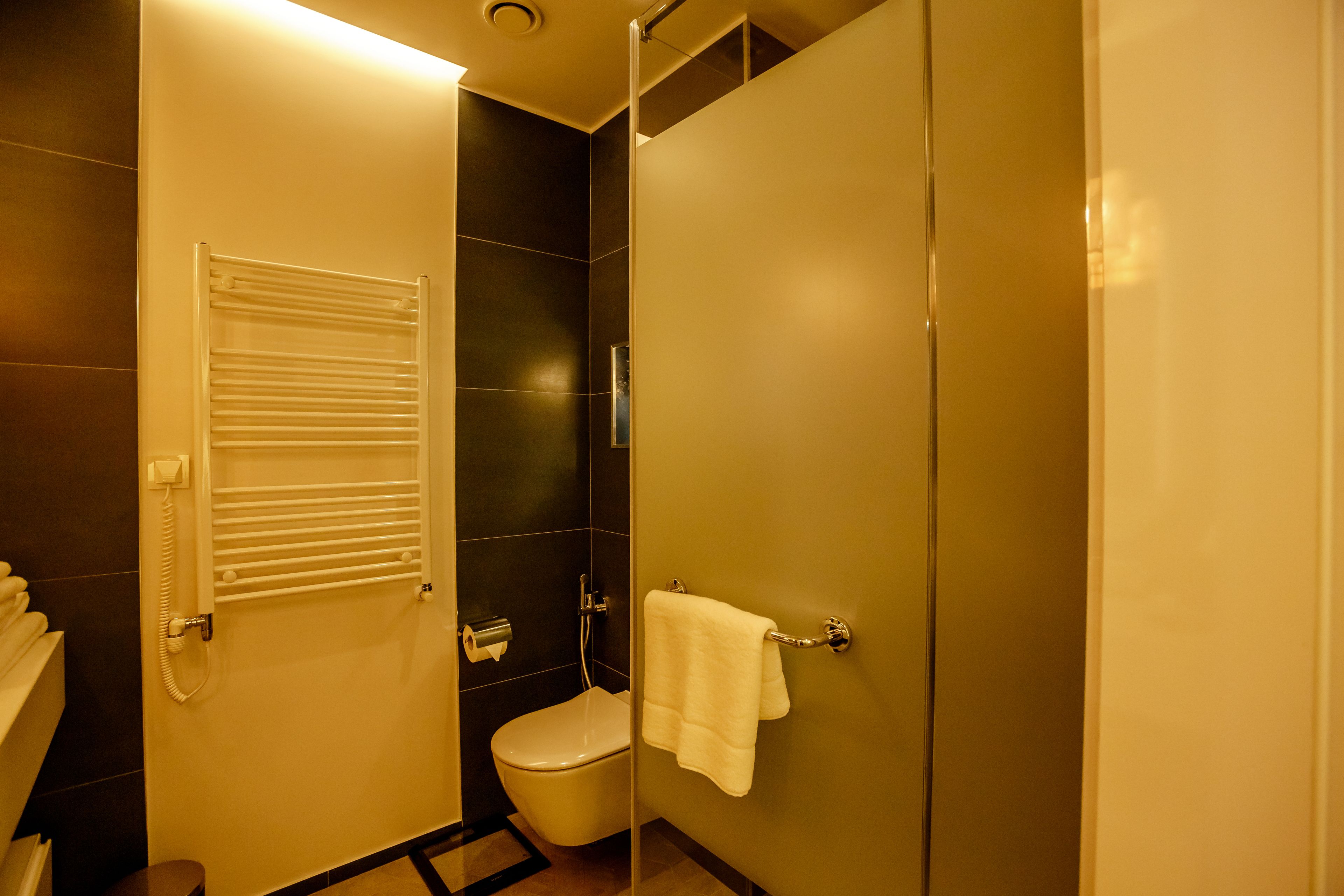 A bathroom with a toilet, a towel rack, and a shower area.