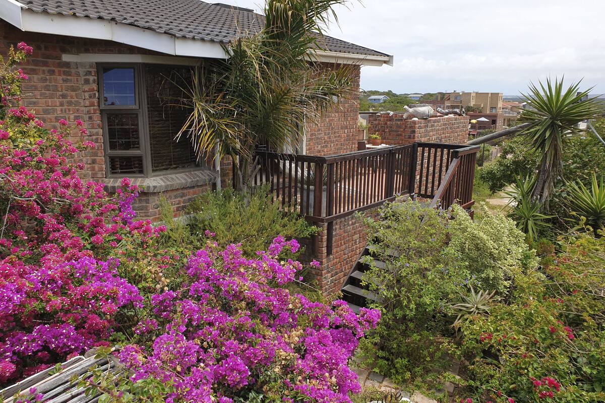 Comfort Studio, 1 Bedroom | Courtyard view