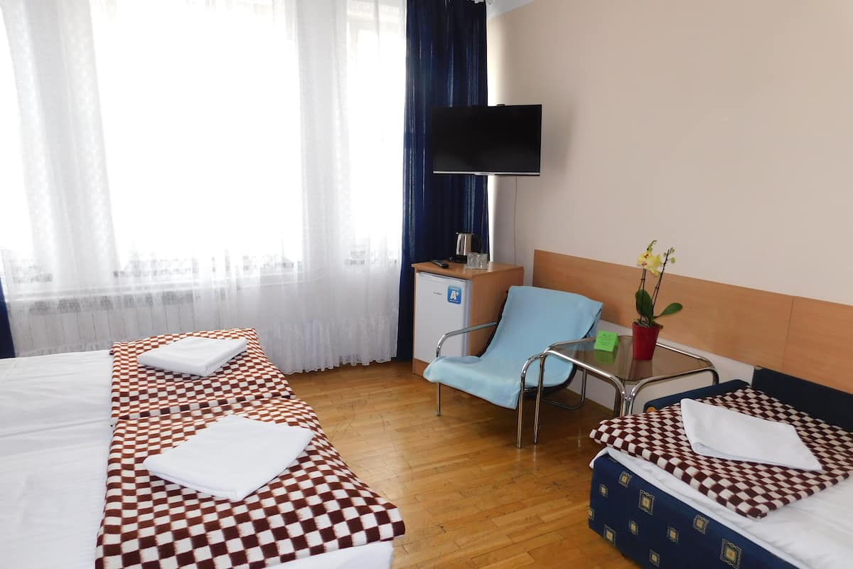 Basic Triple Room
