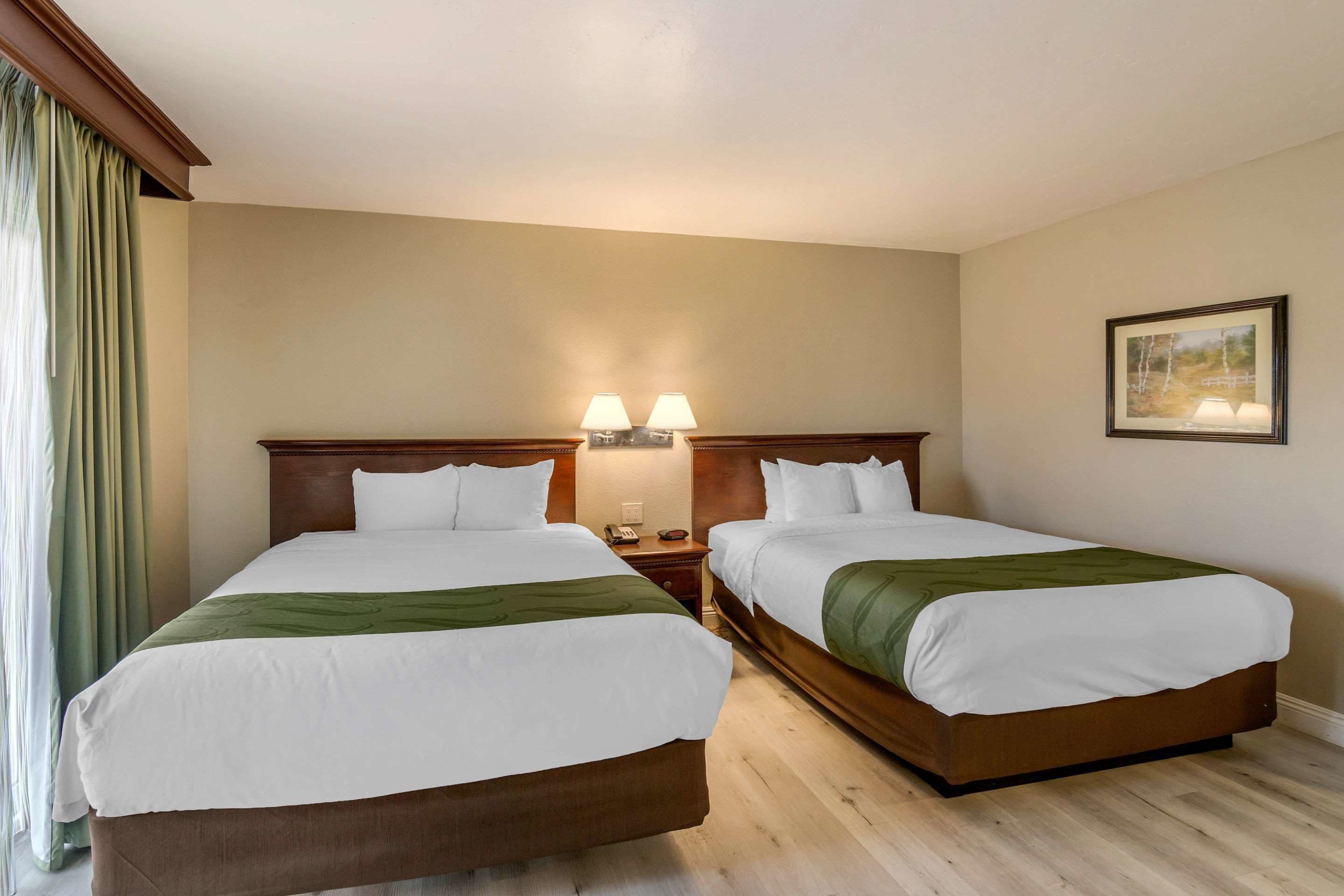Habitación de hotel con dos camas, una mesita de noche con lámparas, un cuadro en la pared y una ventana con cortinas.