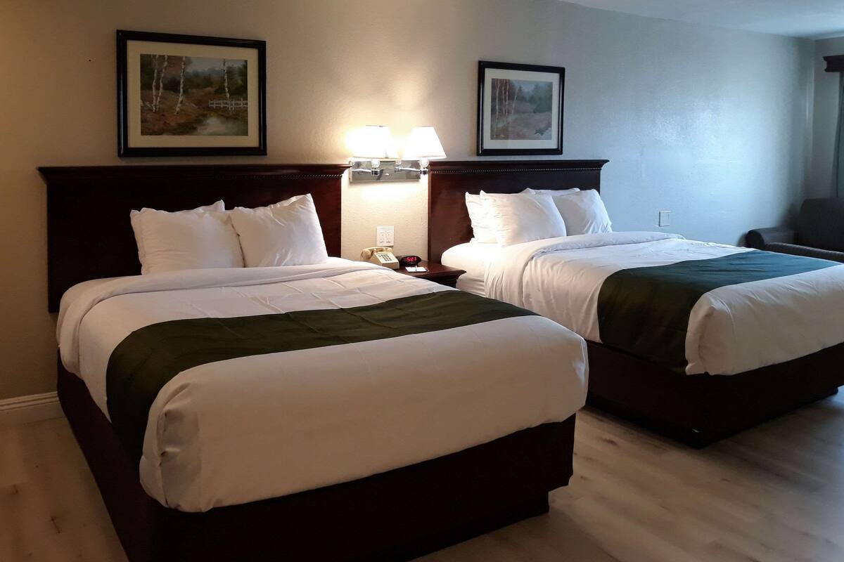 Une chambre d’hôtel avec deux lits, chacun doté de draps blancs et d’une tête de lit sombre. Des lampes murales sont fixées au-dessus des lits, et un tableau encadré orne le mur.