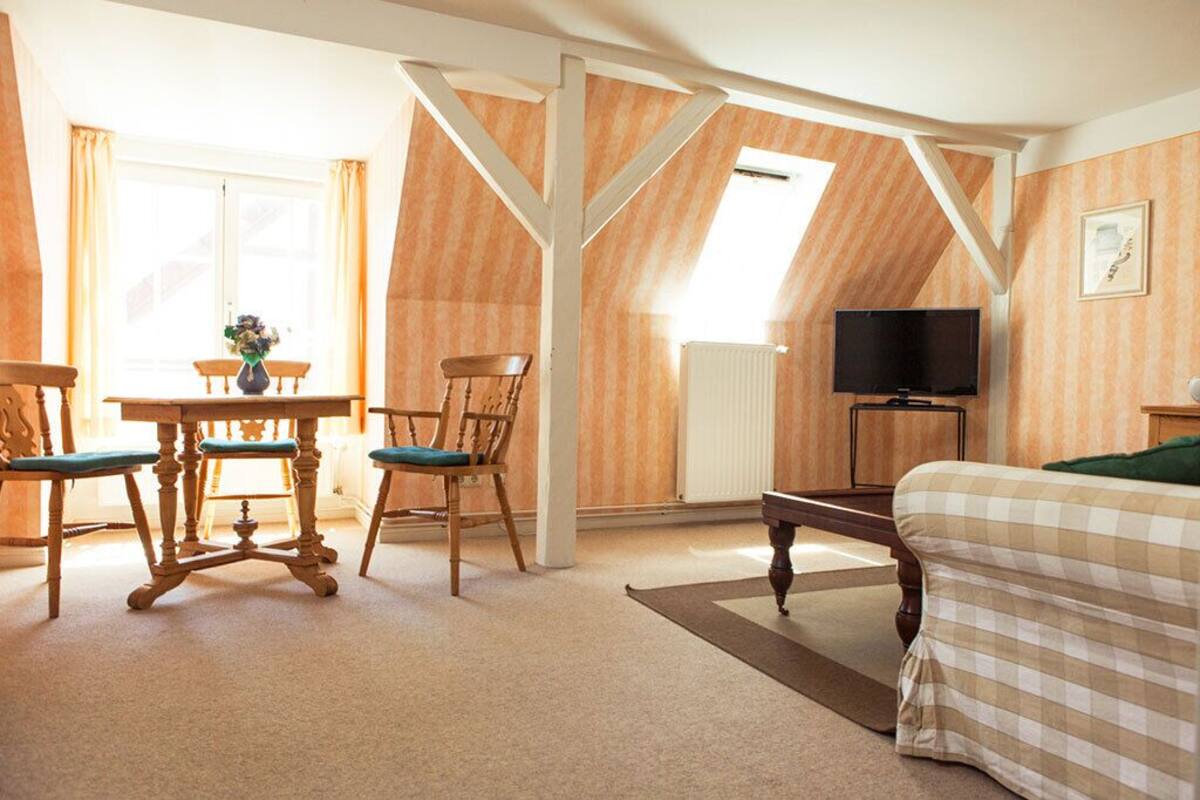 A room with a bed, a table with chairs, a television, and a radiator.