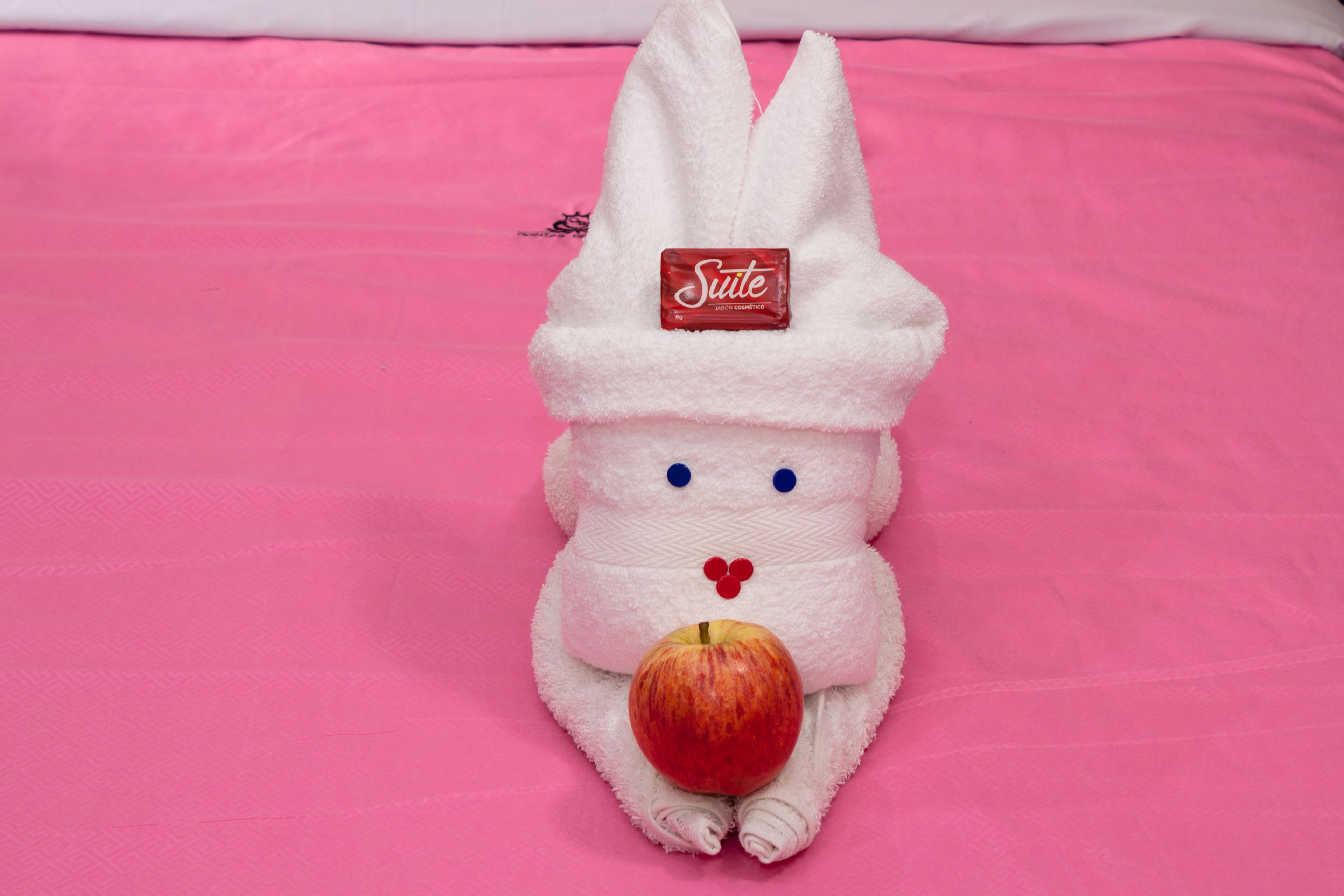 Foto - Hotel Quintas de Bogotá