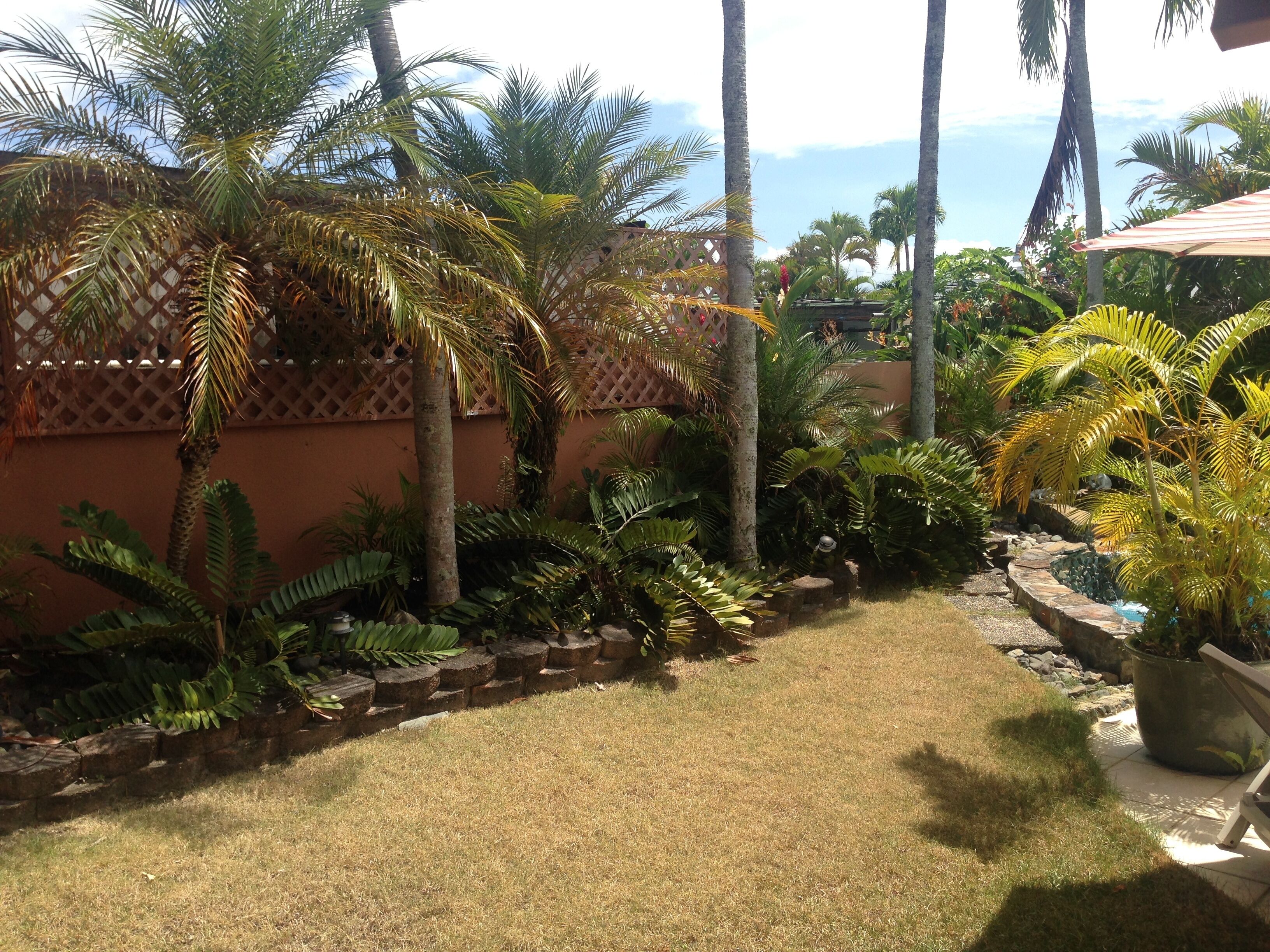 5 Best Vrbo Vacation Rentals In Dorado, Puerto Rico Updated 2024