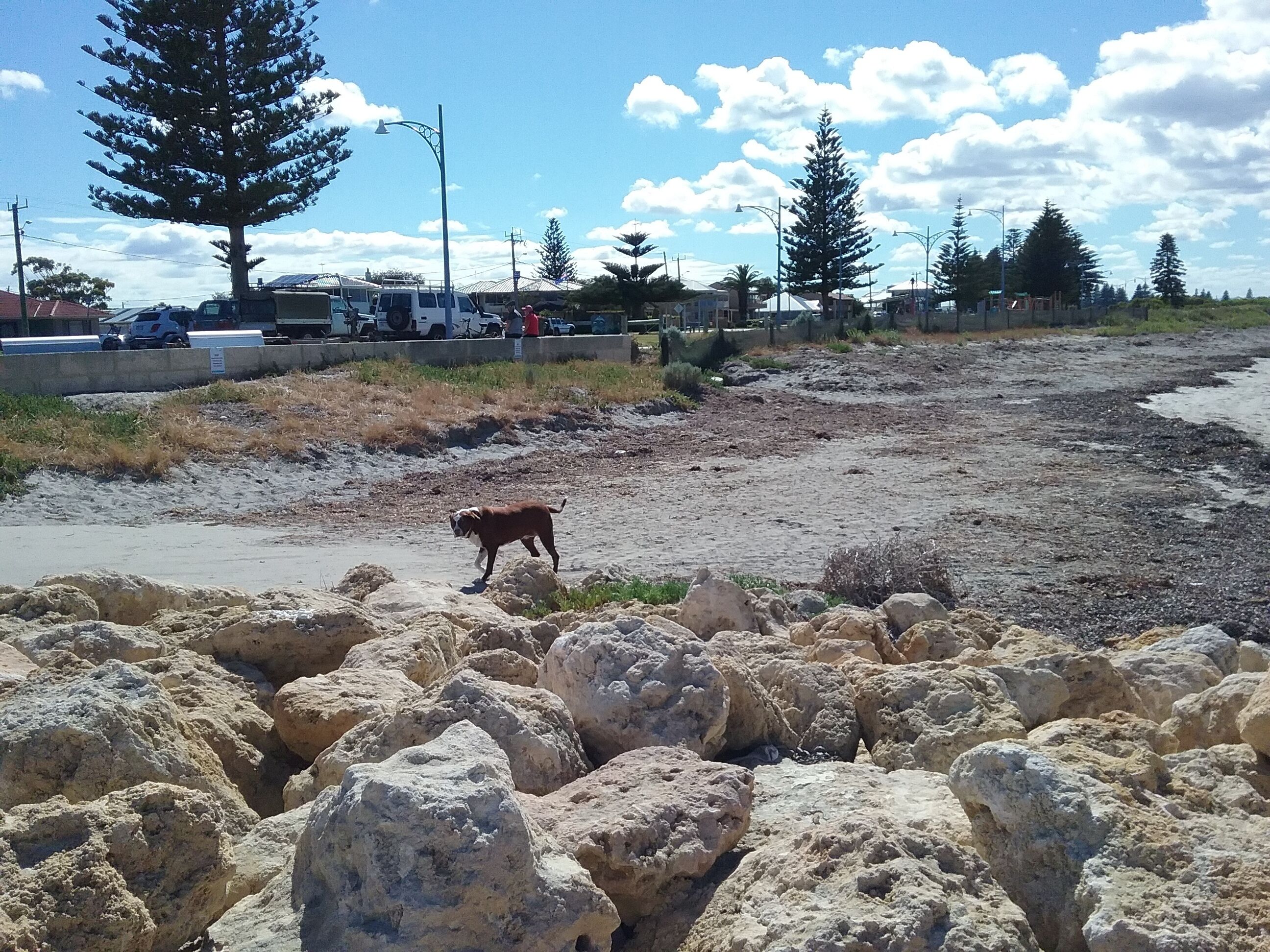 Maggie's Family Retreat (Pet Friendly) — image 21