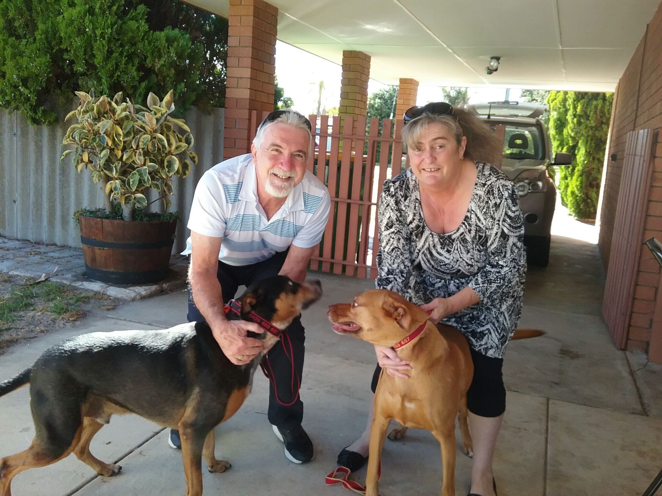 Maggie's Family Retreat (Pet Friendly) — image 2