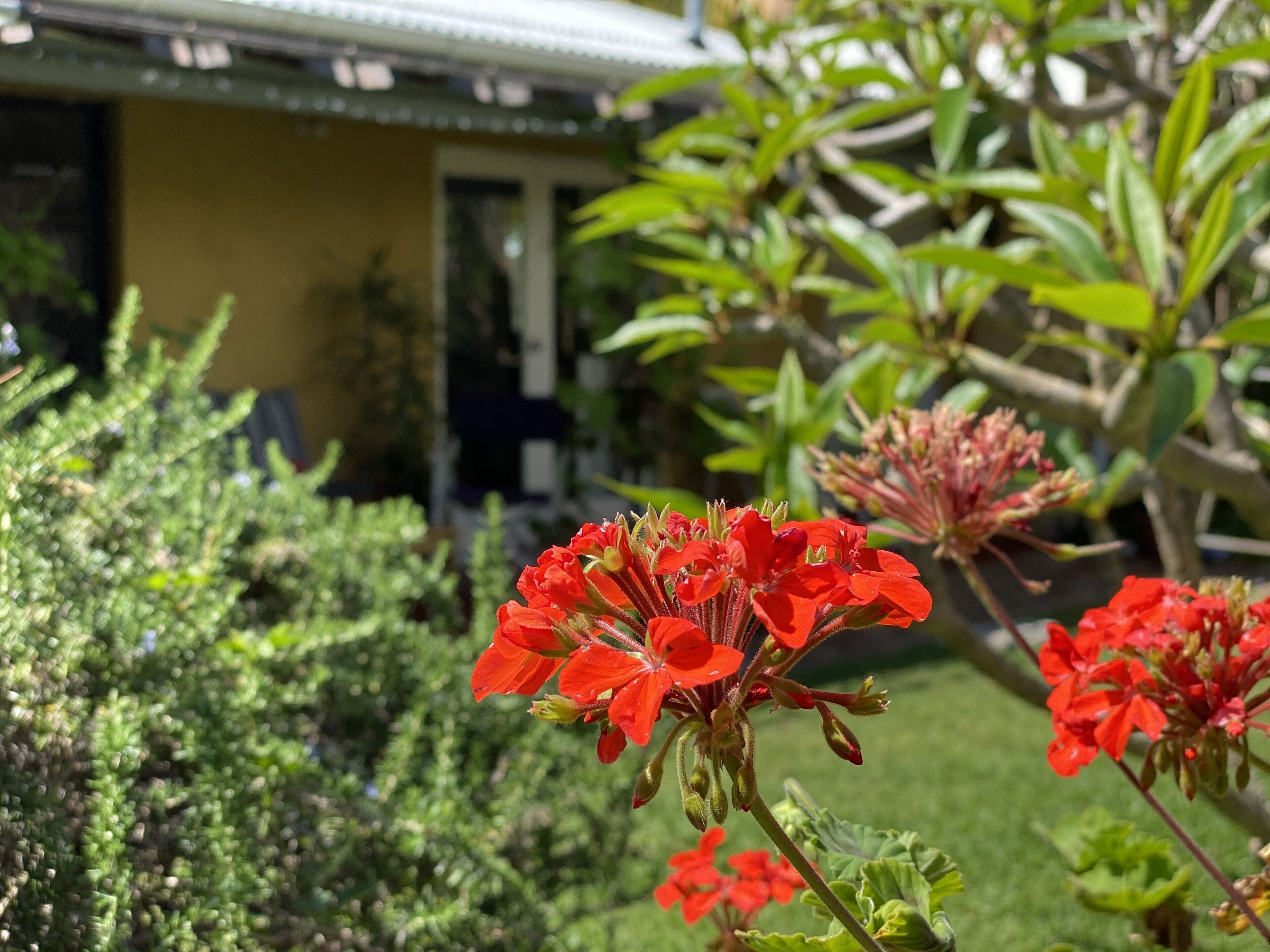 Fabulous holiday home so close to the beach and the village! — image 27