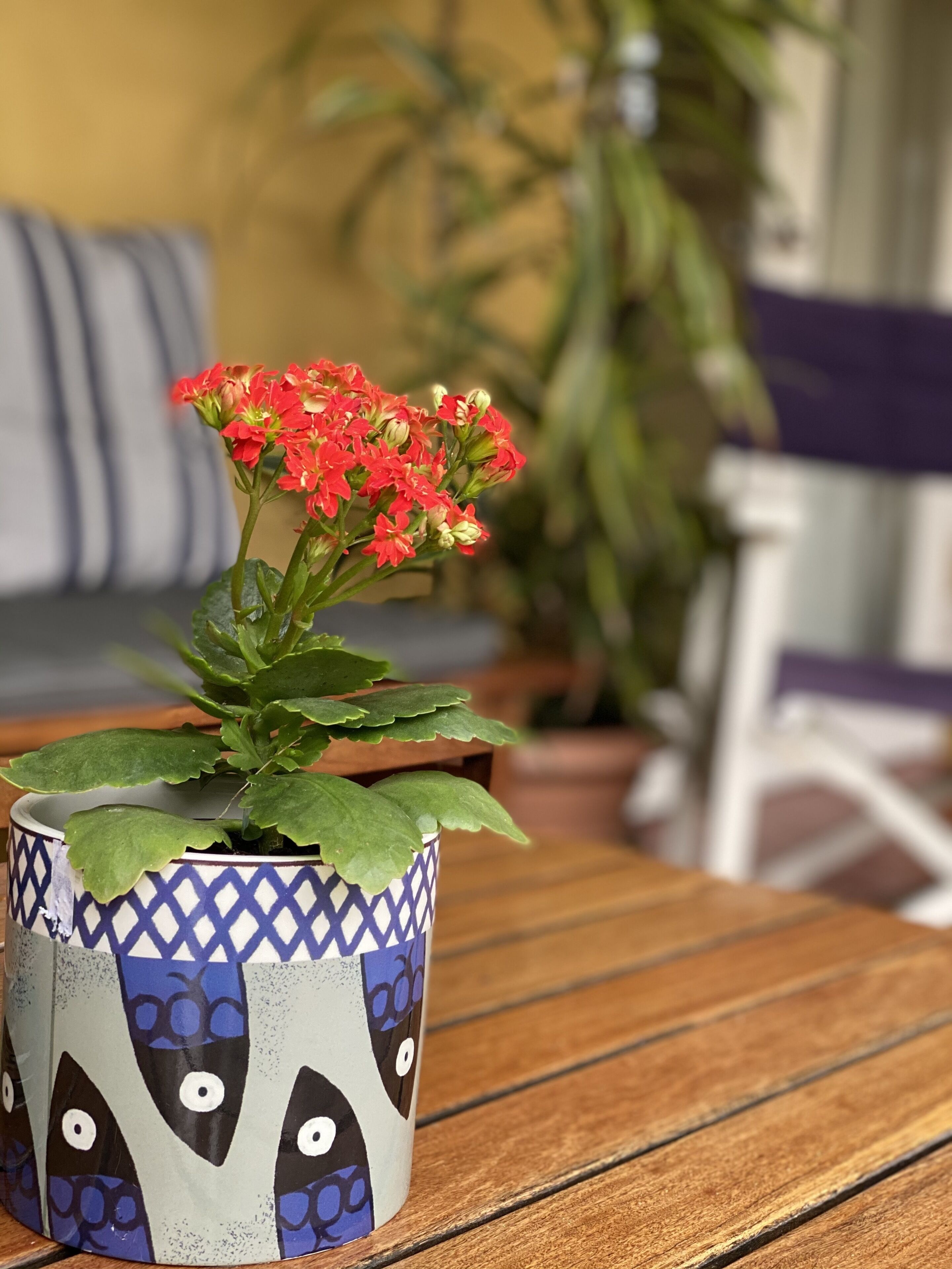 Fabulous holiday home so close to the beach and the village! — image 4