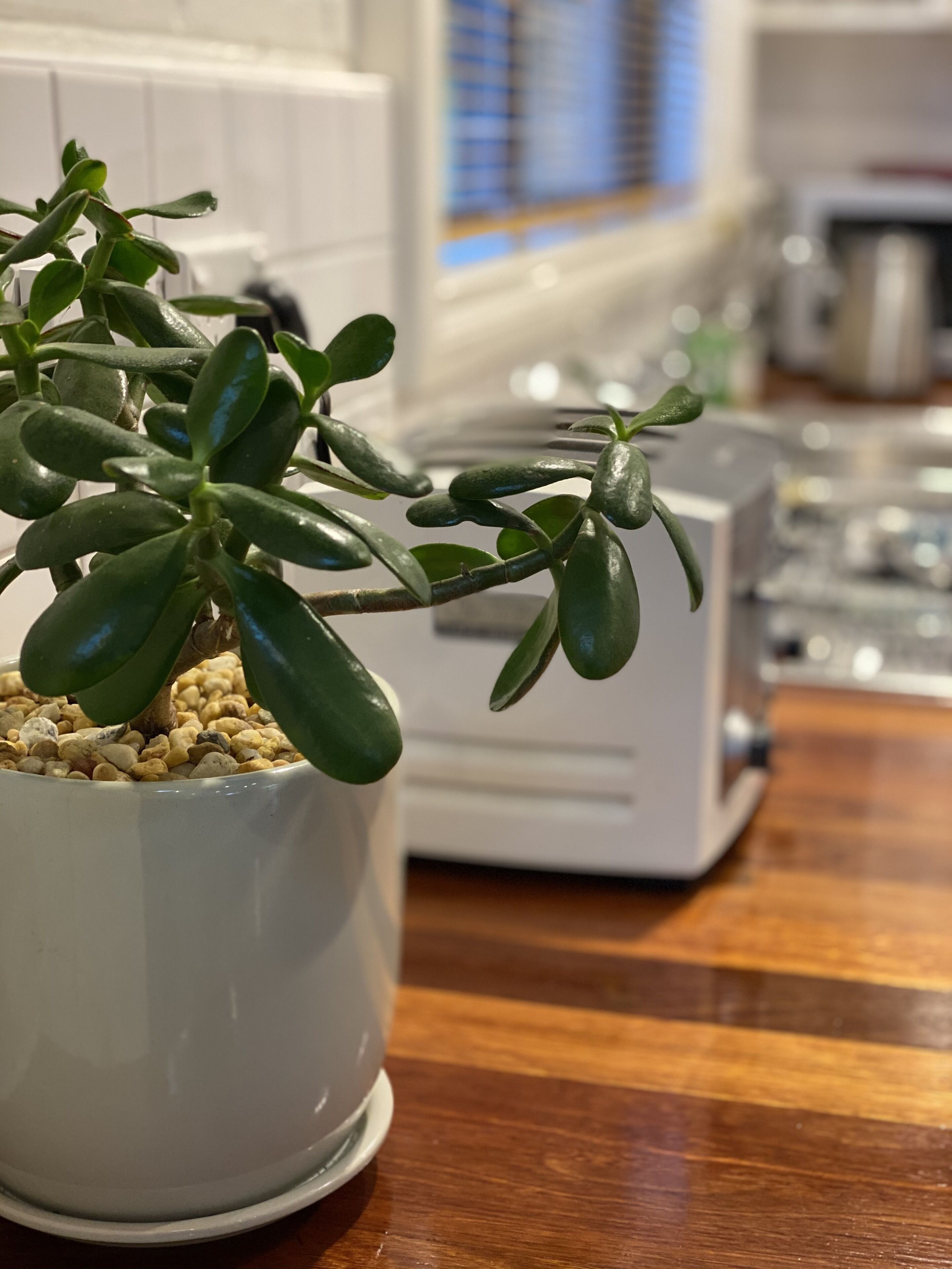 Fabulous holiday home so close to the beach and the village! — image 3