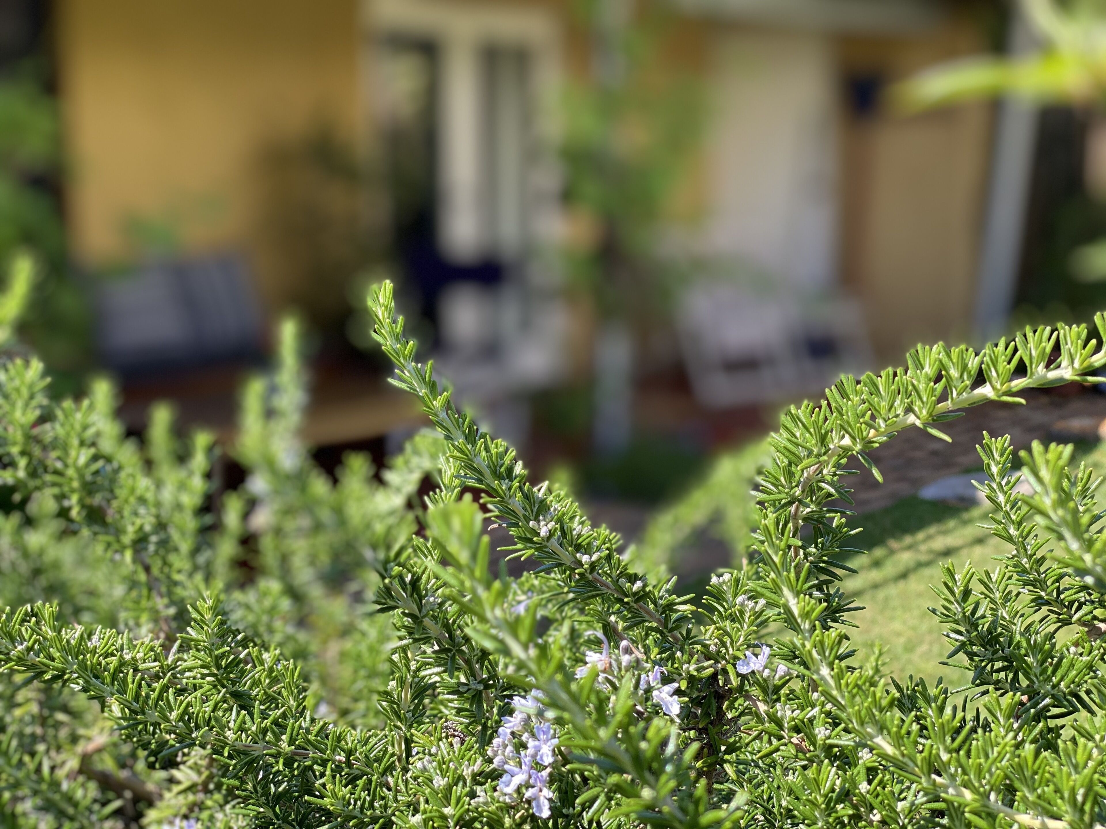 Fabulous holiday home so close to the beach and the village! — image 28