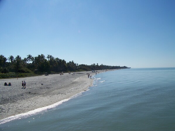 Beach nearby, sun-loungers, beach towels - Beautiful South Facing Villa on Lake (Estero)