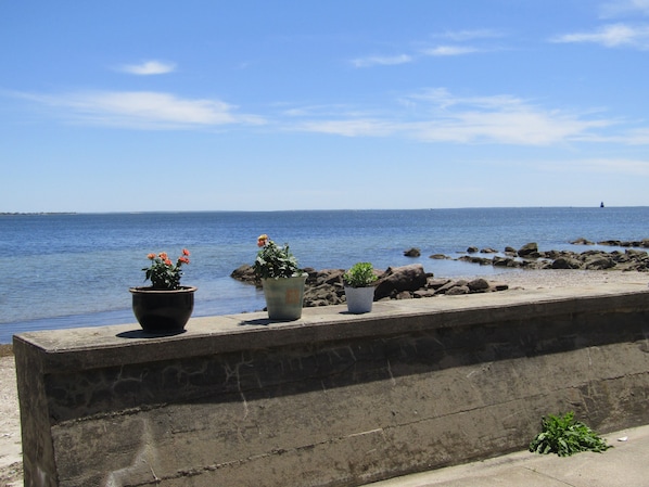 view off the patio